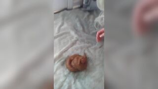... girl shit, ScatKings.com Scat Porn 8 ScatKings.com Scat Porn