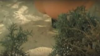3 girls drop logs on beach, ScatKings.com Scat Porn 13 ScatKings.com Scat Porn
