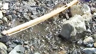 45637, ScatKings.com Scat Porn 8 ScatKings.com Scat Porn