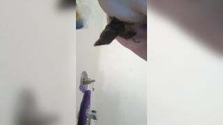 After anal sex poop, ScatKings.com Scat Porn 3 ScatKings.com Scat Porn