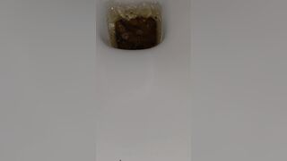 Bellyache poop - video 2, ScatKings.com Scat Porn 17 ScatKings.com Scat Porn