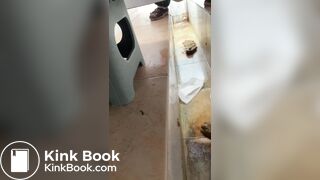 Chinese Trench part 2 - Hard shit on Diarrhea, ScatKings.com Scat Porn 14 ScatKings.com Scat Porn