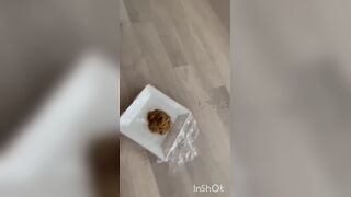 Creamy pile on a plate, ScatKings.com Scat Porn 8 ScatKings.com Scat Porn