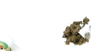 EE-226 9, ScatKings.com Scat Porn 11 ScatKings.com Scat Porn
