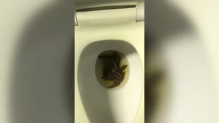 Endless Turds 5 - video 2, ScatKings.com Scat Porn 9 ScatKings.com Scat Porn
