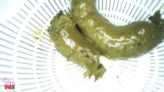 FF-226 2, ScatKings.com Scat Porn 14 ScatKings.com Scat Porn