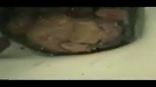 Female shitting in toilet 1, ScatKings.com Scat Porn 2 ScatKings.com Scat Porn