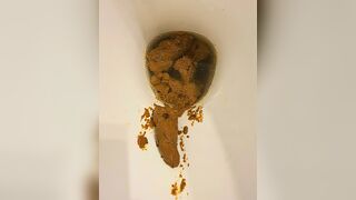 Firm to loose., ScatKings.com Scat Porn 17 ScatKings.com Scat Porn