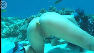 Fish Food - video 2, ScatKings.com Scat Porn 2 ScatKings.com Scat Porn