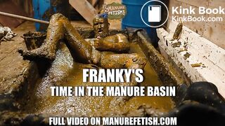 Frankys Time in the manure basin, ScatKings.com Scat Porn 14 ScatKings.com Scat Porn