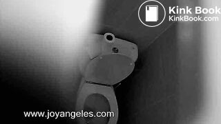 Giant unflushable poop captured on spycam, ScatKings.com Scat Porn 11 ScatKings.com Scat Porn