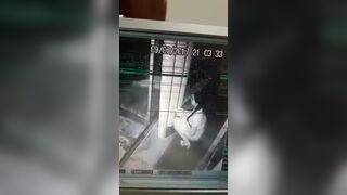 Girl pooping cctv, ScatKings.com Scat Porn 15 ScatKings.com Scat Porn