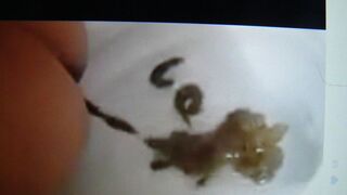 Hugh Load, ScatKings.com Scat Porn 7 ScatKings.com Scat Porn
