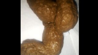 I MADE A MASTERPIECE - TASTY SHIT, ScatKings.com Scat Porn 3 ScatKings.com Scat Porn
