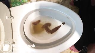 IMG_0371, ScatKings.com Scat Porn 6 ScatKings.com Scat Porn