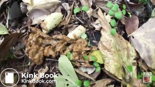 Japanese Ladies Poop Voyeur - video 197, ScatKings.com Scat Porn 8 ScatKings.com Scat Porn