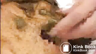 Japanese Scat 17, ScatKings.com Scat Porn 12 ScatKings.com Scat Porn
