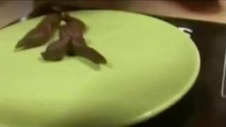 Marion shits on a plate 2, ScatKings.com Scat Porn 9 ScatKings.com Scat Porn