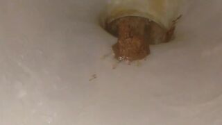My Friend - video 2, ScatKings.com Scat Porn 9 ScatKings.com Scat Porn