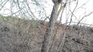POO IN THE WOODS - video 3, ScatKings.com Scat Porn 4 ScatKings.com Scat Porn
