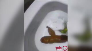 Poo Comp XIII, ScatKings.com Scat Porn 9 ScatKings.com Scat Porn