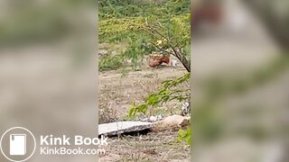 Pooping 1 - video 12, ScatKings.com Scat Porn 8 ScatKings.com Scat Porn