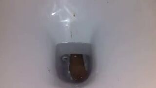 Pooping big, ScatKings.com Scat Porn 17 ScatKings.com Scat Porn