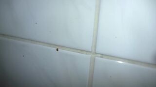 Runny Poop Blasts, ScatKings.com Scat Porn 23 ScatKings.com Scat Porn