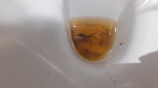 Seriously full of shit this morning, ScatKings.com Scat Porn 12 ScatKings.com Scat Porn