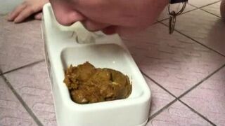 Shit to teach the best toilet slave, ScatKings.com Scat Porn 16 ScatKings.com Scat Porn