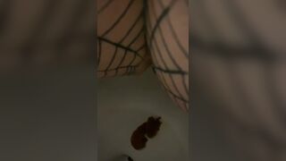 Shitt - video 8, ScatKings.com Scat Porn 6 ScatKings.com Scat Porn