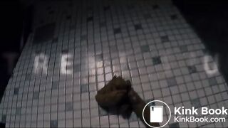 So big she could barely hold it in, ScatKings.com Scat Porn 10 ScatKings.com Scat Porn