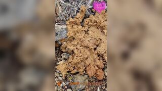 Soft shit at music festival, ScatKings.com Scat Porn 11 ScatKings.com Scat Porn