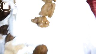 Swallow bf small turd, ScatKings.com Scat Porn 10 ScatKings.com Scat Porn