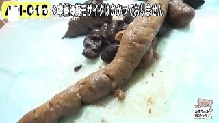 The brown side of life 338, ScatKings.com Scat Porn 12 ScatKings.com Scat Porn