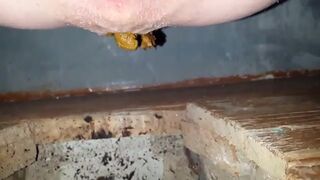 Videos 128, ScatKings.com Scat Porn 13 ScatKings.com Scat Porn