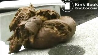 WildAssShit2, ScatKings.com Scat Porn 4 ScatKings.com Scat Porn