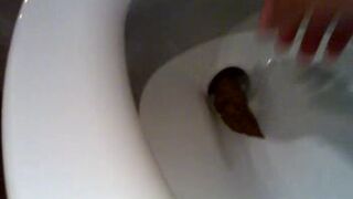 a toilet turd, ScatKings.com Scat Porn 14 ScatKings.com Scat Porn