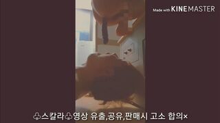 korean scat pooping 한국인 스캇 유료자료, ScatKings.com Scat Porn 3 ScatKings.com Scat Porn