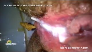 poo poo - video 4, ScatKings.com Scat Porn 13 ScatKings.com Scat Porn