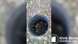 shit out of a tree, ScatKings.com Scat Porn 6 ScatKings.com Scat Porn