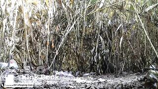 voyeur piss poop, ScatKings.com Scat Porn 8 ScatKings.com Scat Porn
