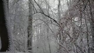 Женщины какают сборник., ScatKings.com Scat Porn 10 ScatKings.com Scat Porn
